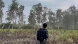 Cegah Karhutla Sejak Dini, TNI Intensifkan Patroli Udara di Taman Nasional Way Kambas