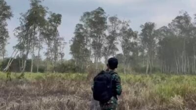 Cegah Karhutla Sejak Dini, TNI Intensifkan Patroli Udara di Taman Nasional Way Kambas