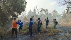 Stop Bakar Lahan, Pesan Dandim 0913/PPU Sambil Padamkan Si Jago Merah Stop Bakar Lahan, Pesan Dandim 0913/PPU Sambil Padamkan Si Jago Merah
