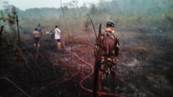 Respons Cepat Karhutla Dekat IKN, TNI Gerakkan Helikopter Caracal untuk Water Bombing Respons Cepat Karhutla Dekat IKN, TNI Gerakkan Helikopter Caracal untuk Water Bombing