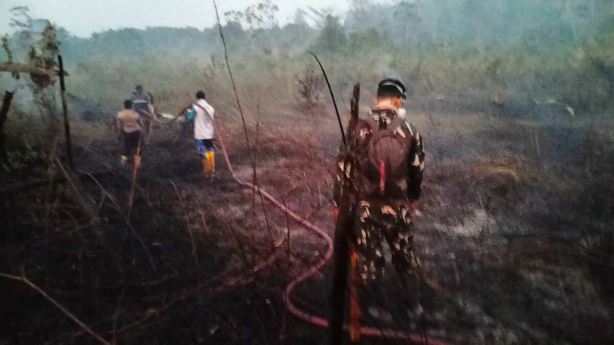Respons Cepat Karhutla Dekat IKN, TNI Gerakkan Helikopter Caracal untuk Water Bombing Respons Cepat Karhutla Dekat IKN, TNI Gerakkan Helikopter Caracal untuk Water Bombing