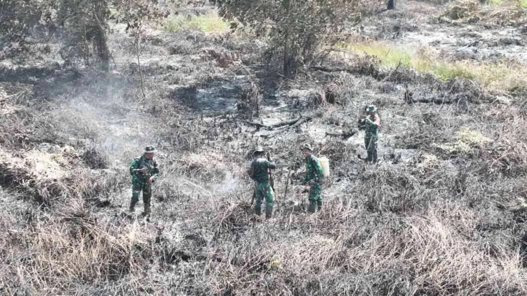 Babinsa Koramil 01/Penajam Bersama Tim Gabungan Percepat Pendinginan Karhutla di Petung