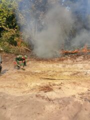Pasir Pun Jadi, Babinsa Babulu Padamkan Karhutla Diwilayah Binaan
