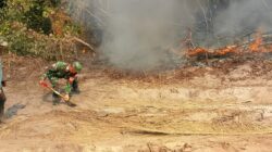 Pasir Pun Jadi, Babinsa Babulu Padamkan Karhutla Diwilayah Binaan