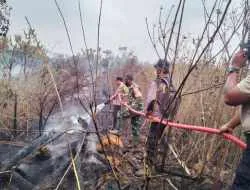 Babinsa Koramil 0913-04/Sepaku Bersama Instansi Terkait Padamkan Karhutla di Patok 28
