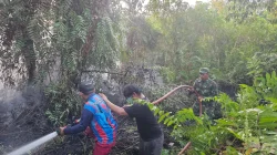 Gerak Cepat,  Babinsa dan Tim Gabungan Jinakkan Karhutla di Desa Tanjung Limau