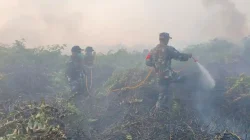 Dandim 0913/PPU Pimpin dan Terjun Langsung Padamkan Karhutla di Petung