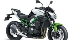 Kawasaki Z650 S dan Z900 2027: Pilihan Warna Baru yang Segar