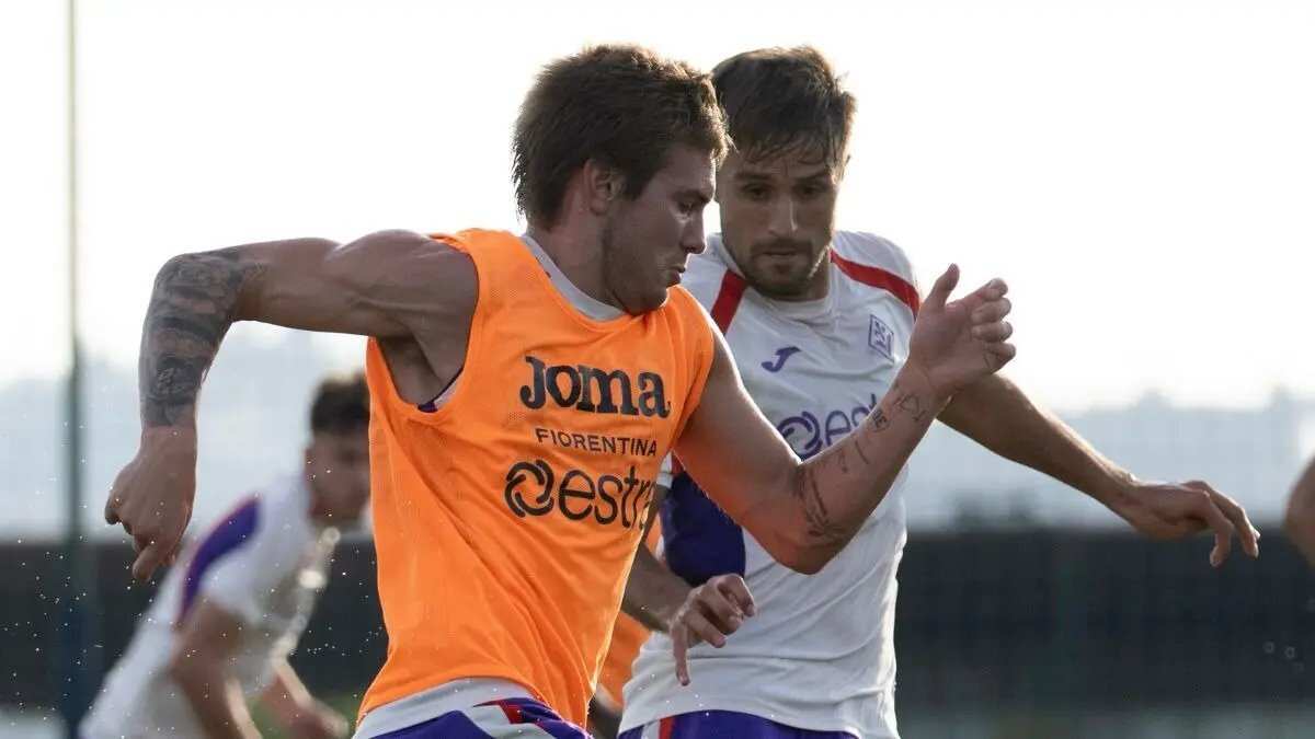 Duel Ketat Fiorentina dan Torino di Serie A Duel Ketat Fiorentina dan Torino di Serie A