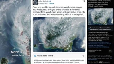 Kebakaran Lahan dan Hutan di Indonesia: Dampak Polusi dan Upaya Penanggulangan