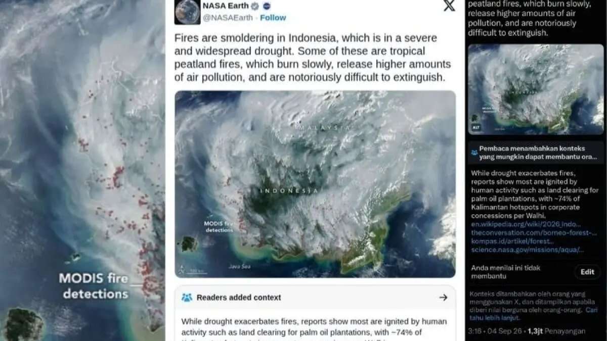 Kebakaran Lahan dan Hutan di Indonesia: Dampak Polusi dan Upaya Penanggulangan