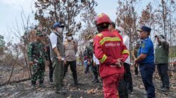 Strategi Penanganan Kebakaran Hutan di Kalimantan Barat