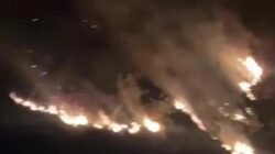 Kebakaran Mencemaskan di Kebun Kina Bukit Unggul