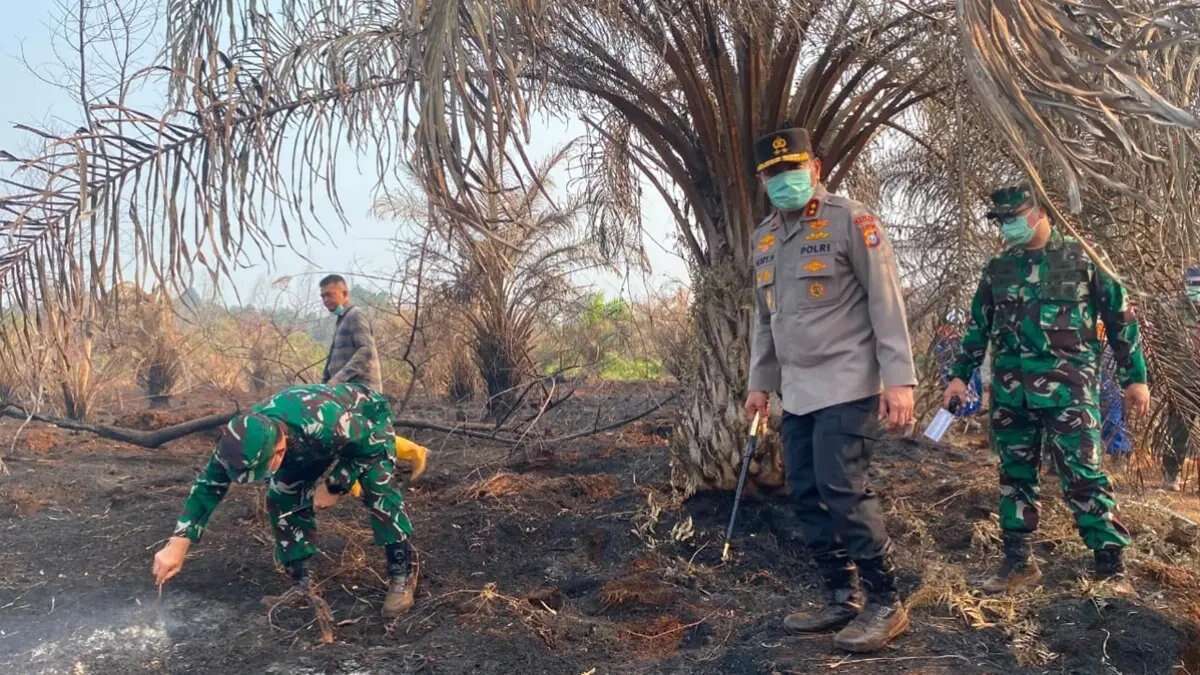Tindakan Pengawasan untuk Mencegah Kebakaran Hutan di Riau