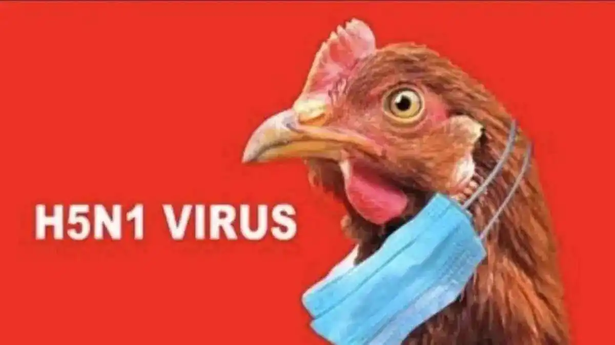 Uruguay Tetapkan Status Darurat Kesehatan Akibat Flu Burung