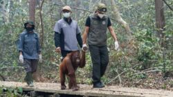 Analisis Kebutuhan Anggaran Kebencanaan di Indonesia