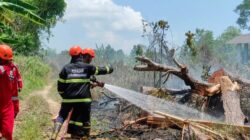 Rapat Koordinasi Pemkot Pangkalpinang untuk Cegah Karhutla