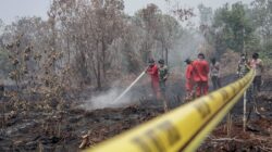 Pentingnya Koordinasi dalam Penanganan Kebakaran Hutan dan Bencana Alam