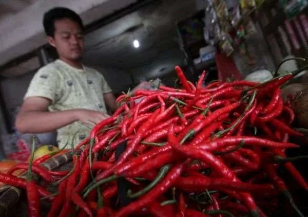Kenaikan Harga Pangan di Indonesia: Fokus pada Cabai Rawit Merah