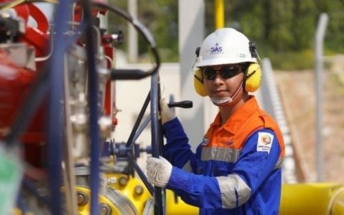 Raja Memperluas Bisnis Energi dengan Akuisisi Saham FLNG