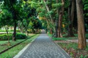 Menikmati Malam di Taman Jakarta: Pilihan Wisata Ramah Kantong