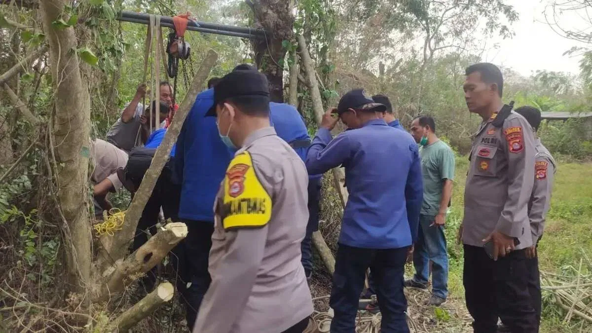 Penyelamatan Kerbau Betina yang Terperosok ke Dalam Sumur di Serang