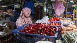 Lonjakan Harga Cabai Rawit Merah di Jakarta: Penyebab dan Dampaknya