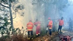 Kendala Pemadaman Kebakaran Hutan di Bromo