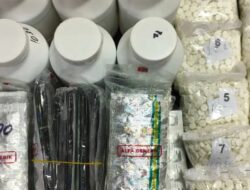 Pemberantasan Obat Tradisional Ilegal oleh BPOM