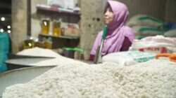 Stok Beras Indonesia Aman Hadapi Kemarau Panjang