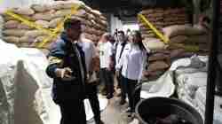 Penyelundupan Kacang Tanah di Jakarta: Pemprov Dukung Penegakan Hukum