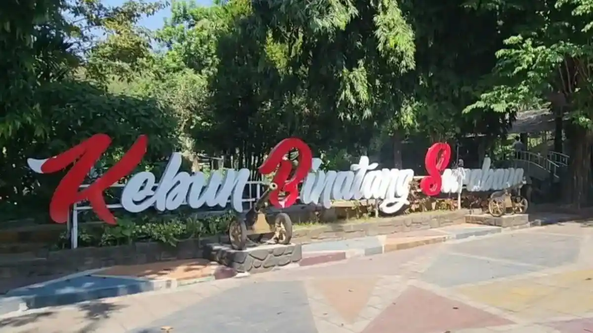 Pendaftaran Direksi BUMD Surabaya Diperpanjang Hingga Oktober