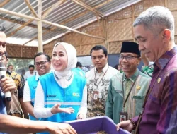 Inovasi Pengelolaan Sampah: Budi Daya Maggot di Mataram