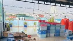 Kronologi Tragis Kasus Pembunuhan oleh Asisten Rumah Tangga di Batam Kronologi Tragis Kasus Pembunuhan oleh Asisten Rumah Tangga di Batam