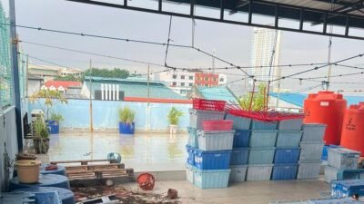 Kronologi Tragis Kasus Pembunuhan oleh Asisten Rumah Tangga di Batam Kronologi Tragis Kasus Pembunuhan oleh Asisten Rumah Tangga di Batam