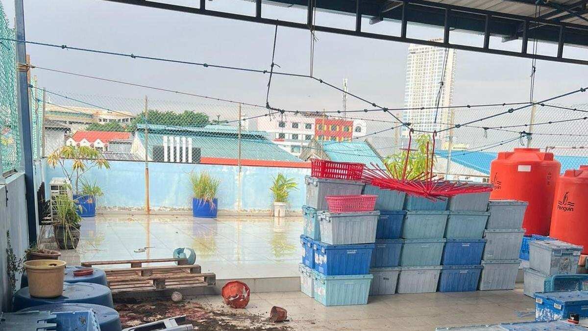 Kronologi Tragis Kasus Pembunuhan oleh Asisten Rumah Tangga di Batam