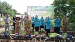 Penanaman Komoditas Pangan di Jakarta Utara Penanaman Komoditas Pangan di Jakarta Utara