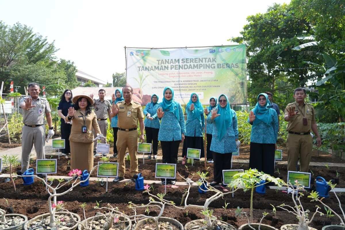 Penanaman Komoditas Pangan di Jakarta Utara