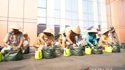 Strategi Penanaman Bibit untuk Ketahanan Pangan di Jakarta Pusat Strategi Penanaman Bibit untuk Ketahanan Pangan di Jakarta Pusat