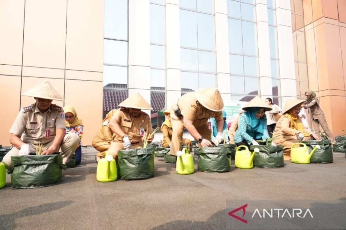 Strategi Penanaman Bibit untuk Ketahanan Pangan di Jakarta Pusat Strategi Penanaman Bibit untuk Ketahanan Pangan di Jakarta Pusat