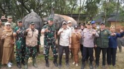 Harmonisasi Kehidupan Manusia dan Gajah di Taman Nasional Way Kambas Harmonisasi Kehidupan Manusia dan Gajah di Taman Nasional Way Kambas