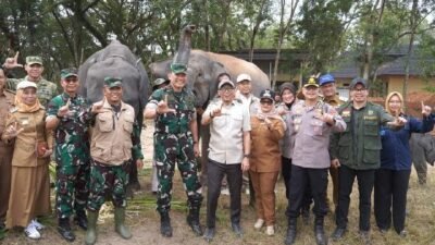 Harmonisasi Kehidupan Manusia dan Gajah di Taman Nasional Way Kambas Harmonisasi Kehidupan Manusia dan Gajah di Taman Nasional Way Kambas