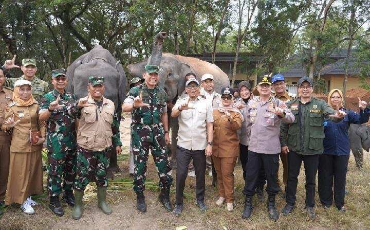 Harmonisasi Kehidupan Manusia dan Gajah di Taman Nasional Way Kambas