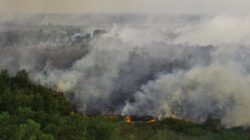 Prioritas Penanganan Kebakaran Hutan di Kabupaten Ogan Komering Ilir Prioritas Penanganan Kebakaran Hutan di Kabupaten Ogan Komering Ilir