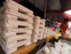 Pengembangan Tempe Menuju Pasar Global
