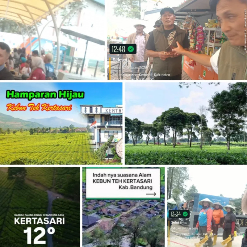 Rukun Dan Kompak, Para Kades Se-Kecamatan Kertasari Kab. Bandung: Nbgibrol Santai Usai Rapat Soal Lingkungaan Pegunungaan
