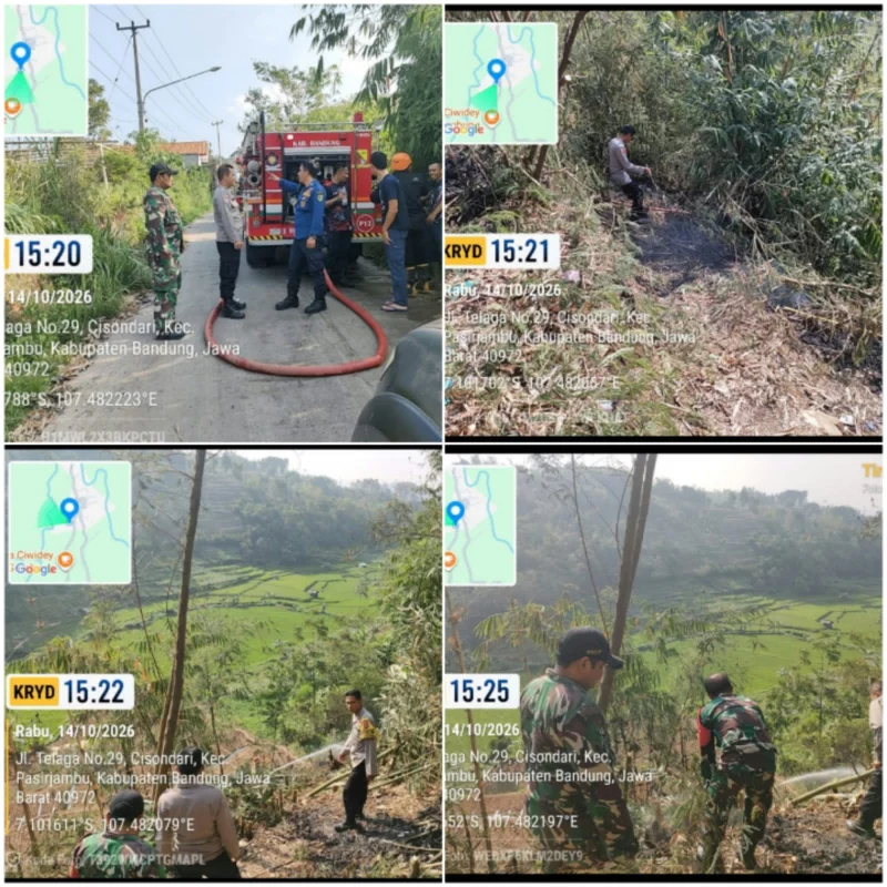 Lahan Bambu 100 Tumbak di Pasirjambu Bandung Terbakar Gara-Gara Bakar Ilalang