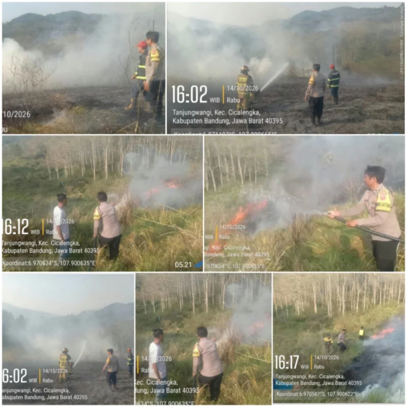 Lahan Ilalang 6 Hektare di Cicalengka Bandung Terbakar, Api Diduga Merambat ke Lahan Milik Warga