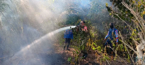 Gerak Cepat, Babinsa Sesulu Bersama Instansi terkait Lainnya  Padamkan Karhutla