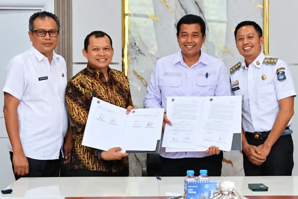 Perlindungan Asuransi Disiapkan bagi Petani Padi dan Jagung di Enrekang